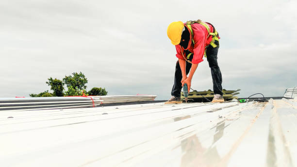 Best Roof Moss and Algae Removal  in Bedford Heights, OH